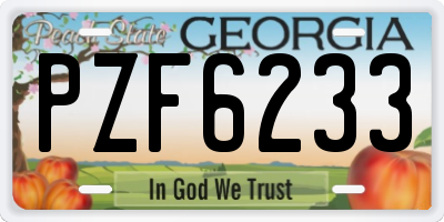 GA license plate PZF6233