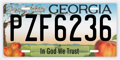 GA license plate PZF6236