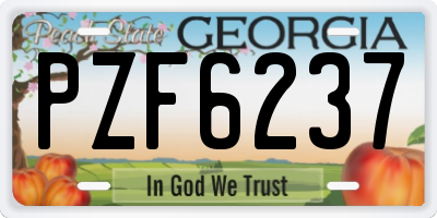 GA license plate PZF6237