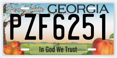 GA license plate PZF6251