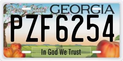GA license plate PZF6254