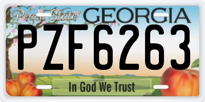 GA license plate PZF6263