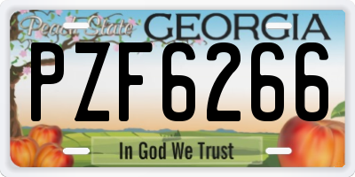 GA license plate PZF6266