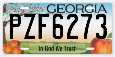 GA license plate PZF6273