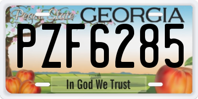 GA license plate PZF6285
