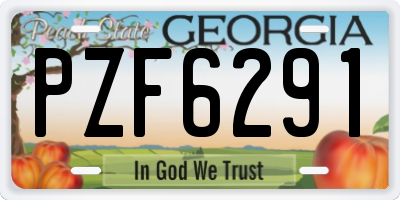 GA license plate PZF6291