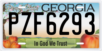 GA license plate PZF6293