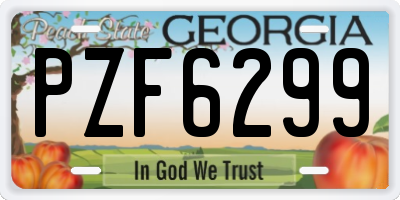 GA license plate PZF6299