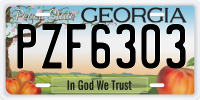 GA license plate PZF6303