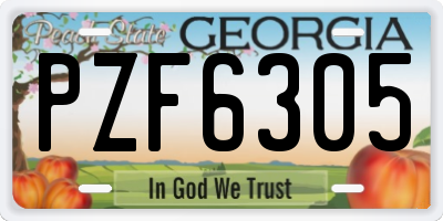 GA license plate PZF6305