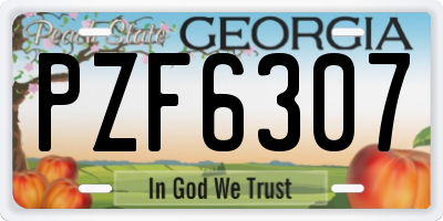 GA license plate PZF6307