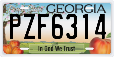 GA license plate PZF6314
