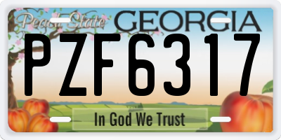 GA license plate PZF6317
