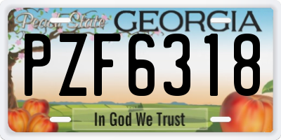 GA license plate PZF6318