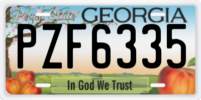 GA license plate PZF6335