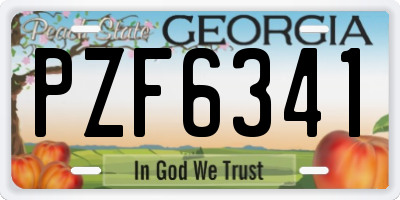 GA license plate PZF6341