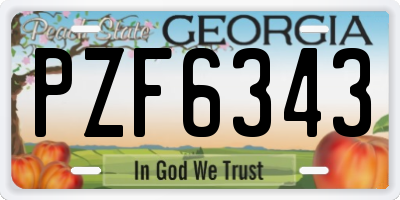 GA license plate PZF6343