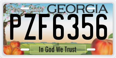 GA license plate PZF6356