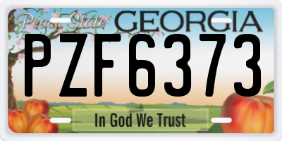 GA license plate PZF6373