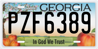 GA license plate PZF6389