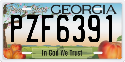 GA license plate PZF6391