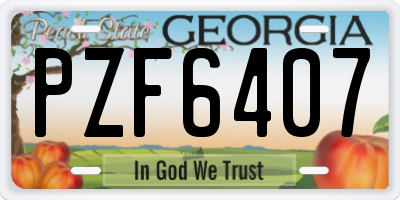 GA license plate PZF6407