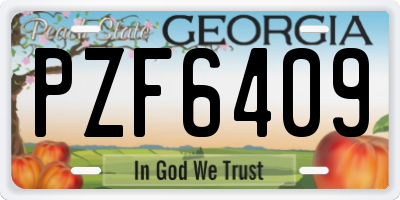 GA license plate PZF6409