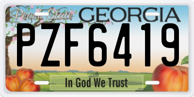 GA license plate PZF6419