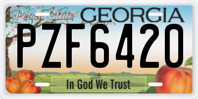 GA license plate PZF6420