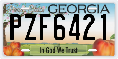 GA license plate PZF6421