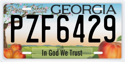 GA license plate PZF6429