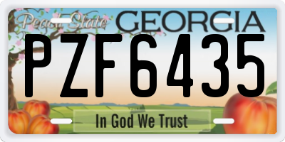 GA license plate PZF6435