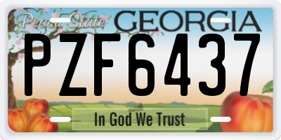 GA license plate PZF6437