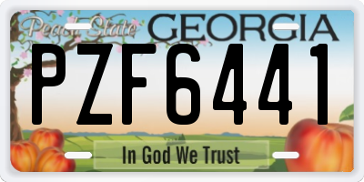 GA license plate PZF6441