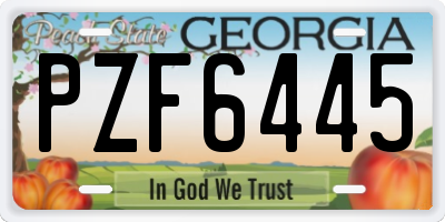 GA license plate PZF6445