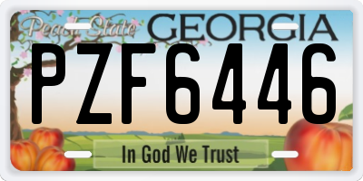 GA license plate PZF6446