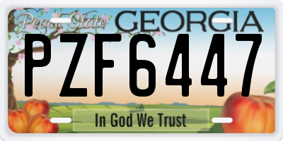 GA license plate PZF6447