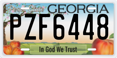 GA license plate PZF6448