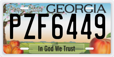 GA license plate PZF6449