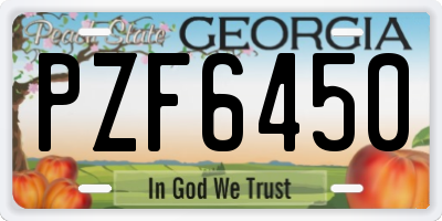 GA license plate PZF6450