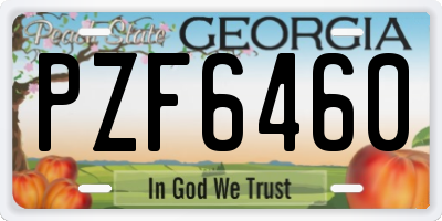 GA license plate PZF6460