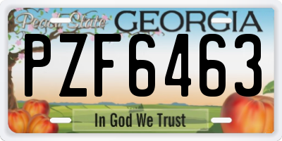 GA license plate PZF6463