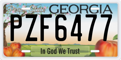 GA license plate PZF6477