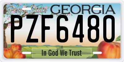 GA license plate PZF6480