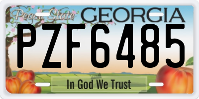 GA license plate PZF6485