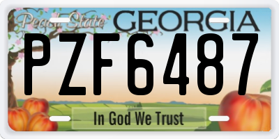 GA license plate PZF6487