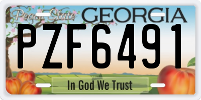 GA license plate PZF6491