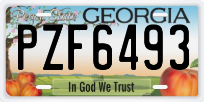 GA license plate PZF6493