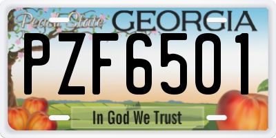 GA license plate PZF6501