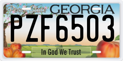 GA license plate PZF6503